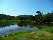 P1000335.JPG
