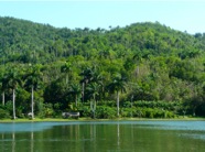 P1000337.JPG