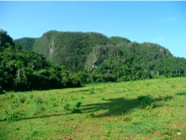 P1000374.JPG