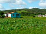 P1000457.JPG