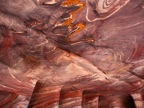P1020114.JPG