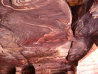 P1020116.JPG
