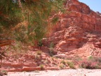 IMG_3643.JPG