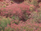 IMG_3661.JPG