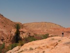 IMG_3663.JPG