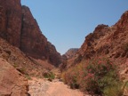 IMG_3672.JPG