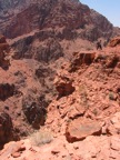 IMG_3678.JPG
