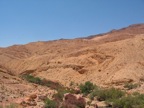 IMG_3690.JPG