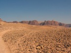 IMG_3700.JPG