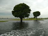2008-12-06_08-44-38