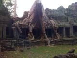 2008-12-10_12-43-10