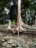 2008-12-07_09-42-38