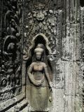 2008-12-07_11-26-48
