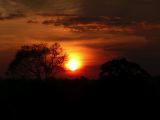 2008-12-07_17-28-47