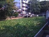 2008-12-14_13-41-58
