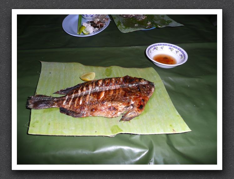 2008-11-10_19-04-54