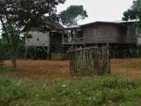 2008-11-19_12-51-36
