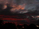 2008-11-19_17-27-47