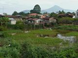 2008-11-17_15-59-52