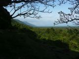 2008-11-20_15-14-06